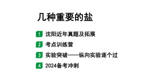 2024沈阳中考化学二轮专题突破 几种重要的盐（课件）.pptx