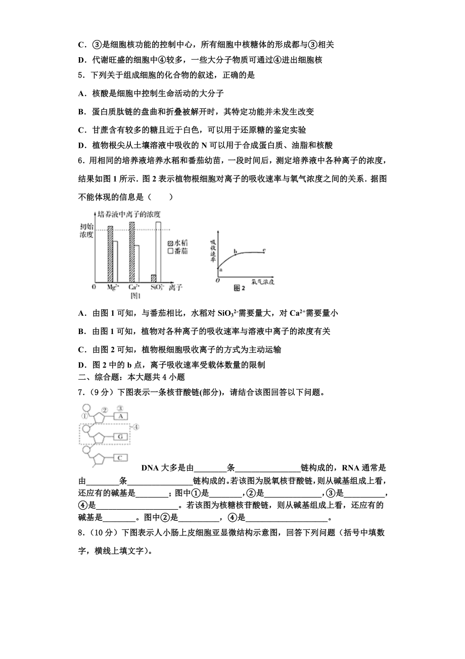 天津市滨海新区大港八中2023-2024学年高一生物第一学期期末联考试题含解析.doc_第2页