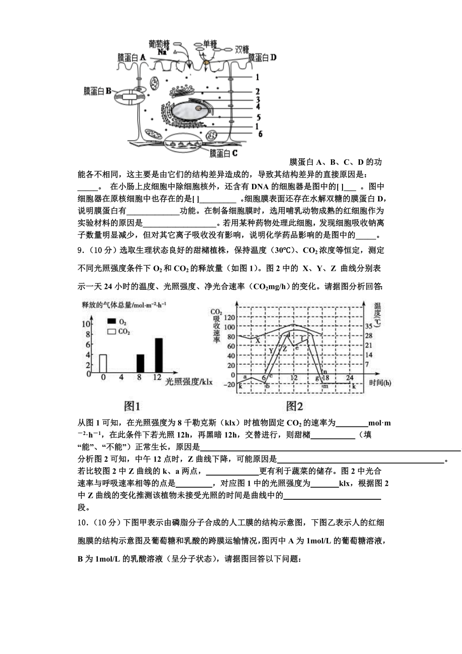 天津市滨海新区大港八中2023-2024学年高一生物第一学期期末联考试题含解析.doc_第3页