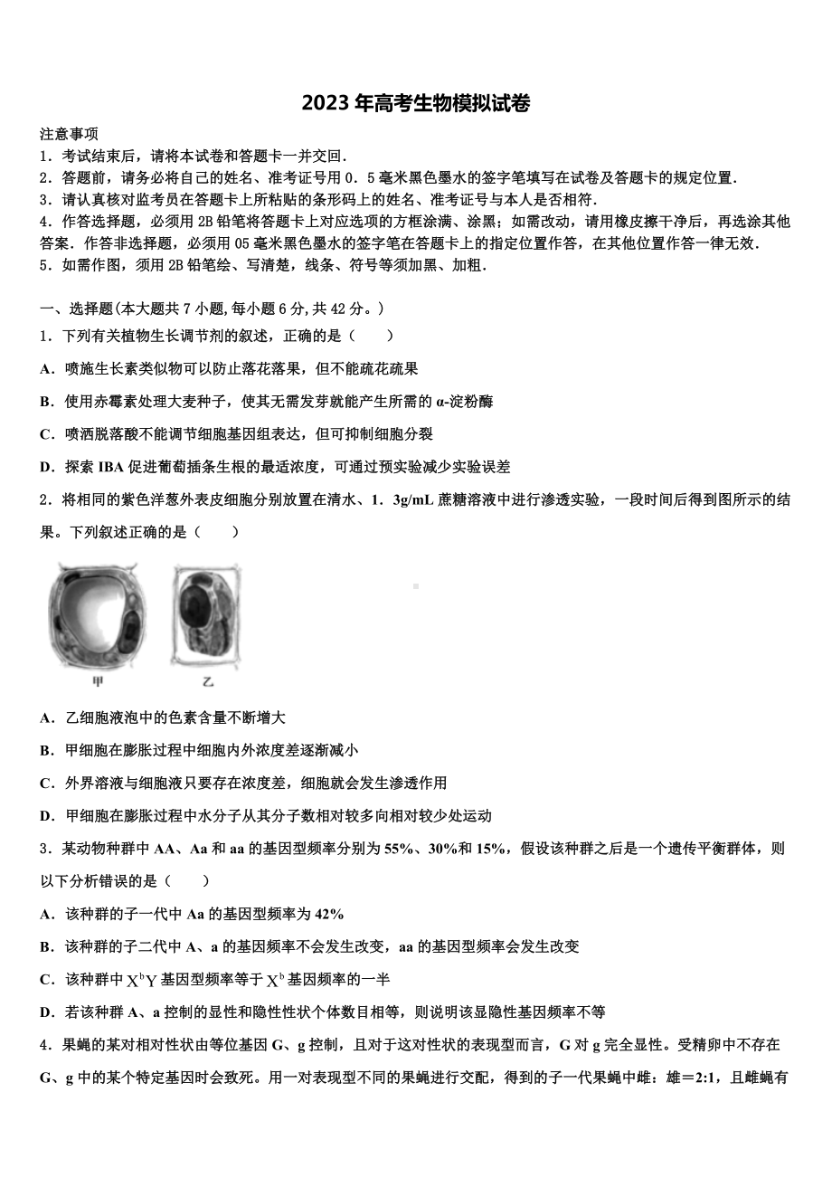 2022-2023学年河南省郑州市外国语学校高三适应性调研考试生物试题含解析.doc_第1页