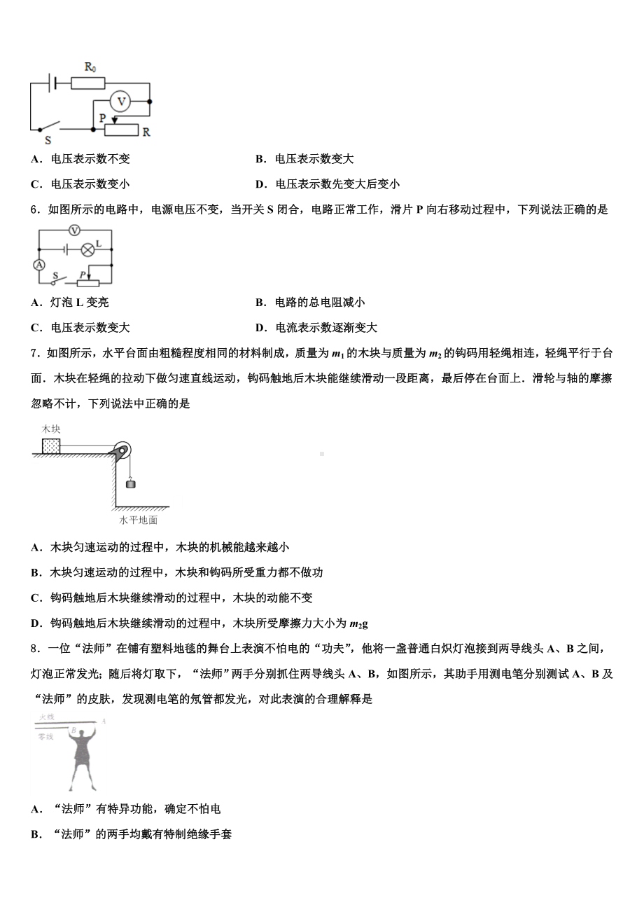 2023-2024学年广东省阳江市四校中考物理押题卷含解析.doc_第2页