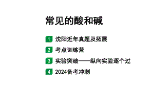 2024沈阳中考化学二轮专题突破 常见的酸和碱（课件）.pptx