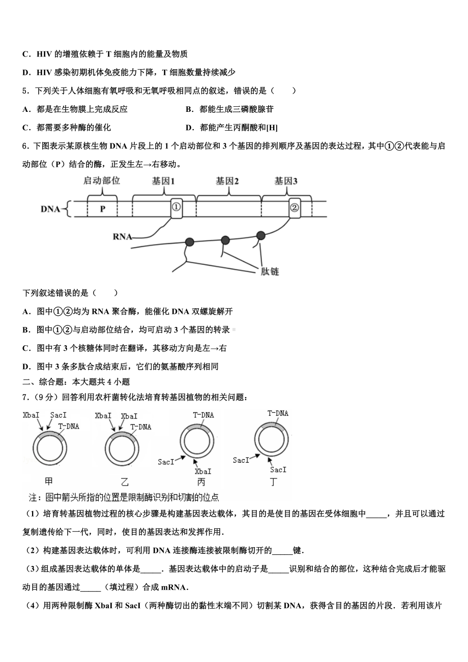 北京市东城区第二十二中学2023-2024学年高三下学期一模考试生物试题含解析.doc_第2页