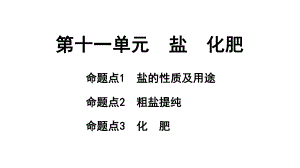 2024长沙中考化学一轮复习 第十一单元　盐　化肥（课件）.pptx