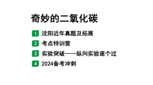 2024沈阳中考化学二轮专题突破 奇妙的二氧化碳（课件）.pptx