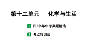 2024四川中考化学一轮复习 第十二单元 化学与生活（课件）.pptx