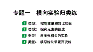 2024沈阳中考化学二轮专题突破 专题一横向实验归类练（课件）.pptx