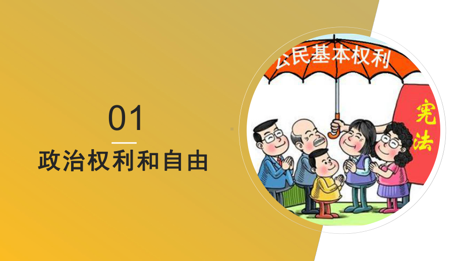 3.1公民的基本权利 课件 道德与法治八年级下册.pptx_第3页