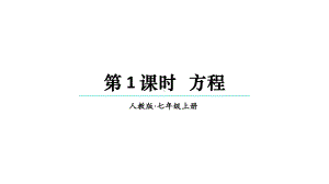 初中数学新人教版七年级上册5.1.1第1课时 方程教学课件2024秋.pptx