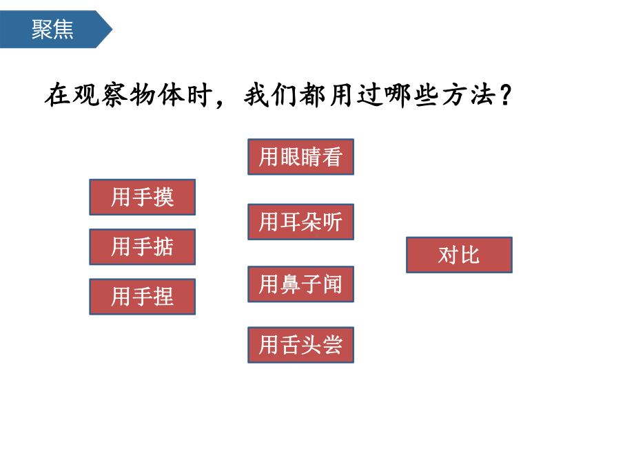 第2单元5通过感官来发现 ppt课件(共21张PPT)-2024新教科版一年级上册《科学》.pptx_第3页