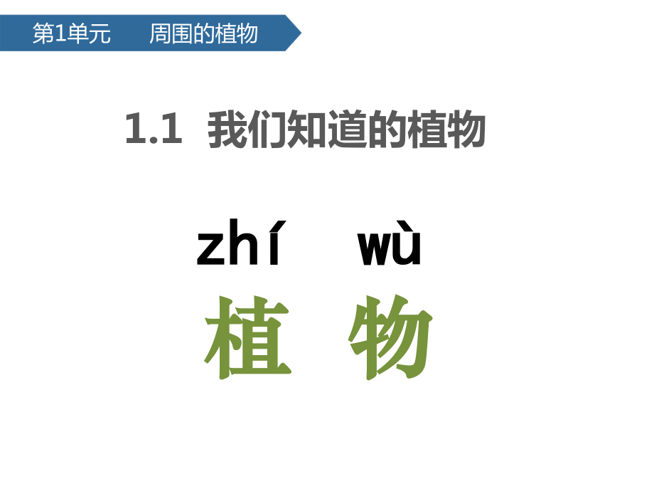 [2024]新教科版一年级上册《科学》教学PPT课件（全册打包）.rar