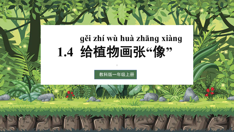 1.4给植物画张像 优质ppt课件(共17张PPT)-2024新教科版一年级上册《科学》.pptx_第1页