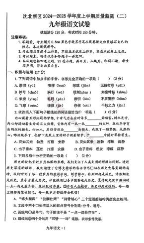 辽宁省沈阳市沈北新区2024-2025学年九年级上学期质量监测（二）语文试卷.pdf