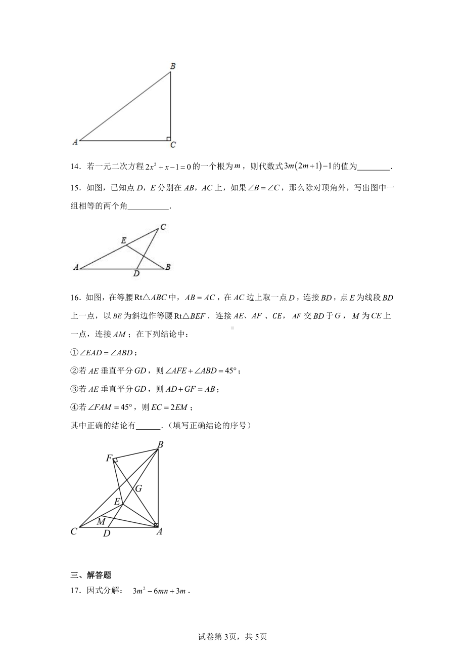 广西柳州市2024-2025学年八年级上学期期末数学模拟测试题.pdf_第3页