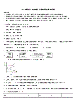 2024届黑龙江省明水县中考五模化学试题含解析.doc