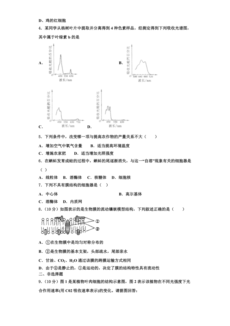 云南省绿春县二中2023-2024学年生物高一上期末达标检测模拟试题含解析.doc_第2页