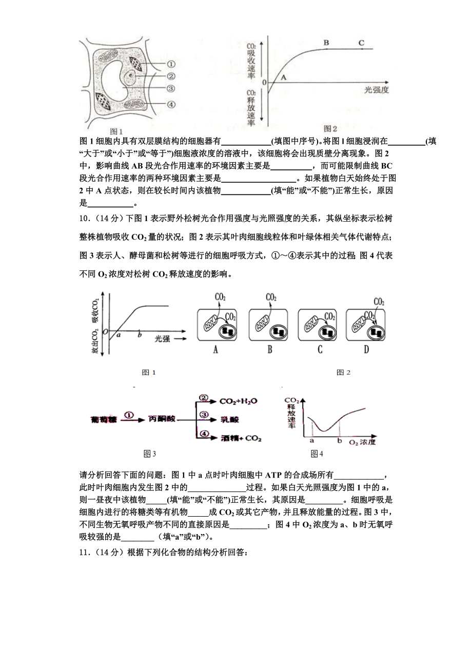 云南省绿春县二中2023-2024学年生物高一上期末达标检测模拟试题含解析.doc_第3页