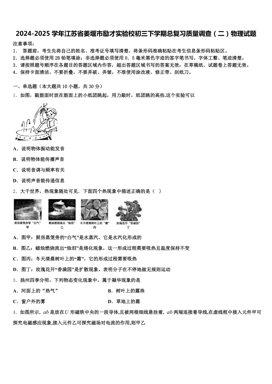 2024-2025学年江苏省姜堰市励才实验校初三下学期总复习质量调查(二)物理试题含解析.doc_第1页