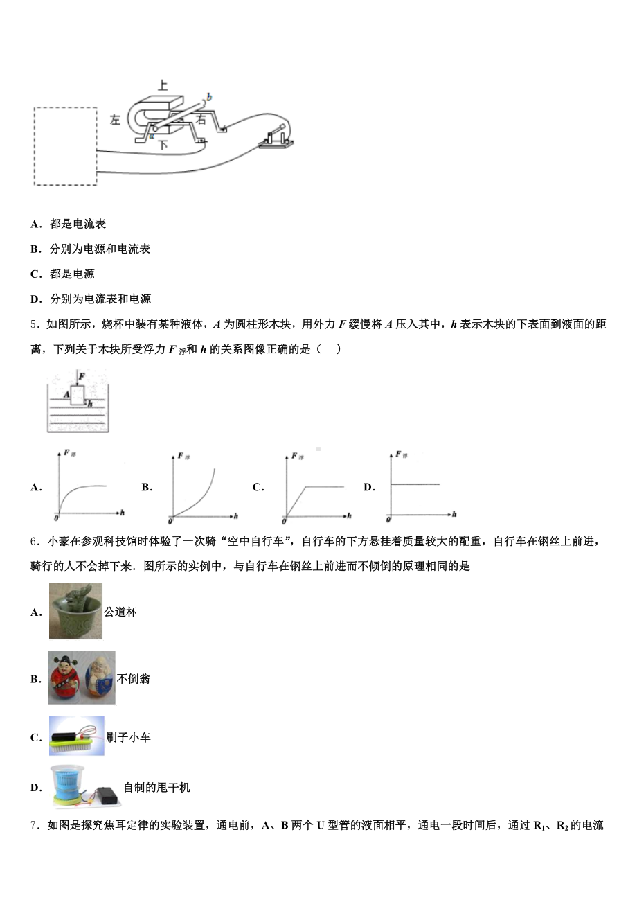 2024-2025学年江苏省姜堰市励才实验校初三下学期总复习质量调查(二)物理试题含解析.doc_第2页