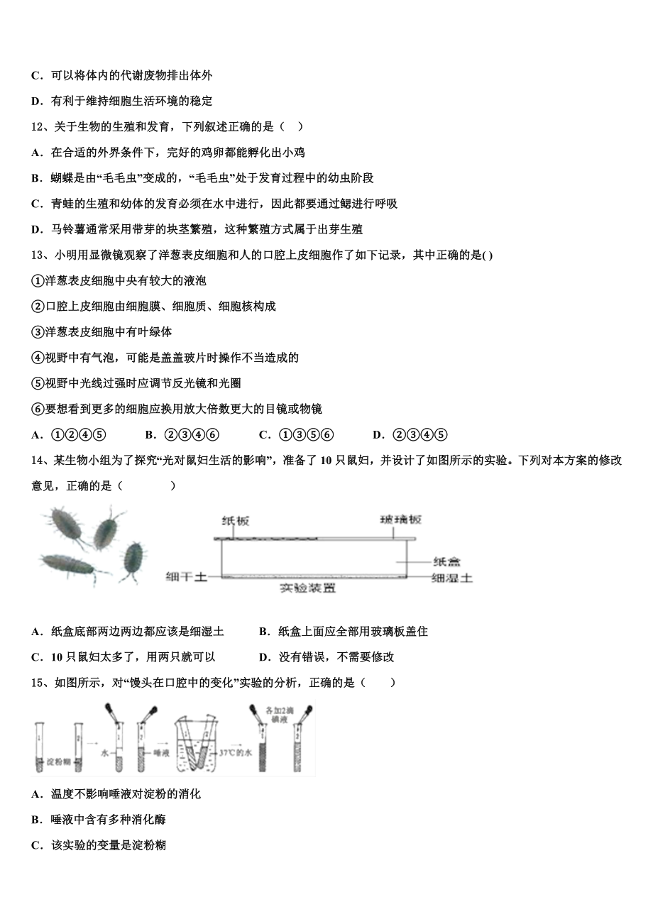 2024-2025学年广东省初三一轮复习阶段性考试(生物试题理)试题含解析.doc_第3页