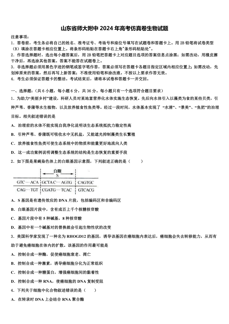 山东省师大附中2024年高考仿真卷生物试题含解析.doc_第1页