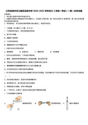 江苏省扬州市江都区实验中学2024-2025学年初三3月统一考试(一模)化学试题含解析.doc