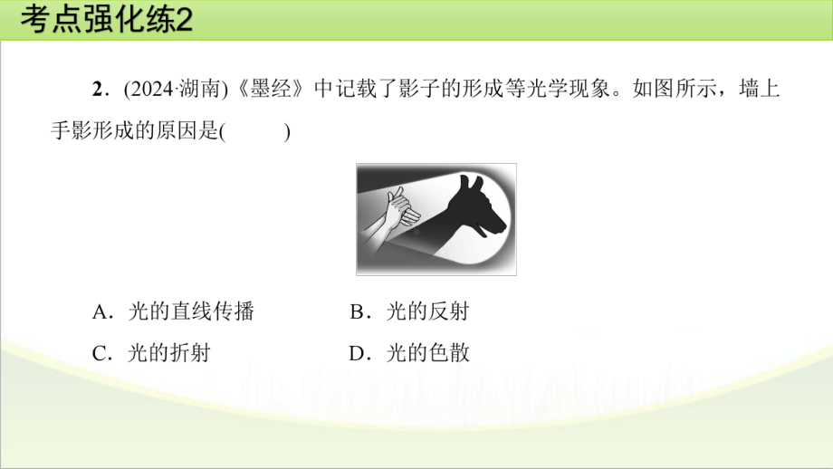 2025年甘肃省中考物理一轮复习 考点强化练2　光现象.pptx_第3页