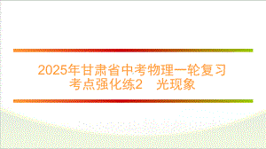 2025年甘肃省中考物理一轮复习 考点强化练2　光现象.pptx