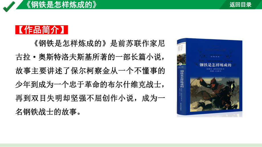 2024成都语文中考试题研究备考第二部分名著阅读16名著思维导图-《钢铁是怎样炼成的》（课件）.pptx_第3页