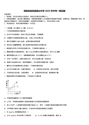 海南省临高县美台中学2025年中考一模试题含解析.doc