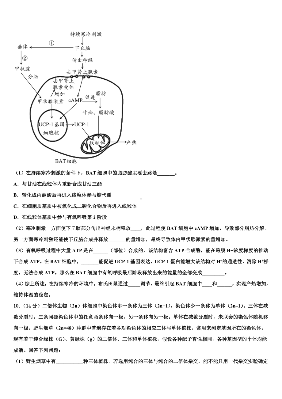 福建省泉州市马甲中学2024届高三下学期第六次检测生物试卷含解析.doc_第3页