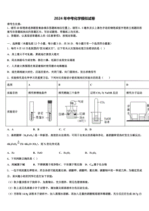 江苏无锡江阴市重点达标名校2024年中考化学模拟精编试卷含解析.doc