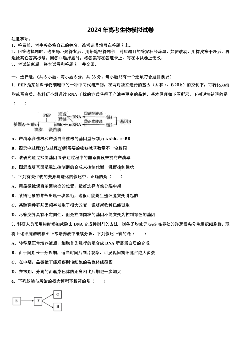 安徽省肥东市高级中学2023-2024学年高三下学期联考生物试题含解析.doc_第1页