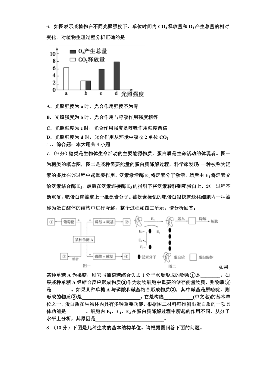 2024届吉林省长春市九台区四中高一生物第一学期期末检测模拟试题含解析.doc_第2页