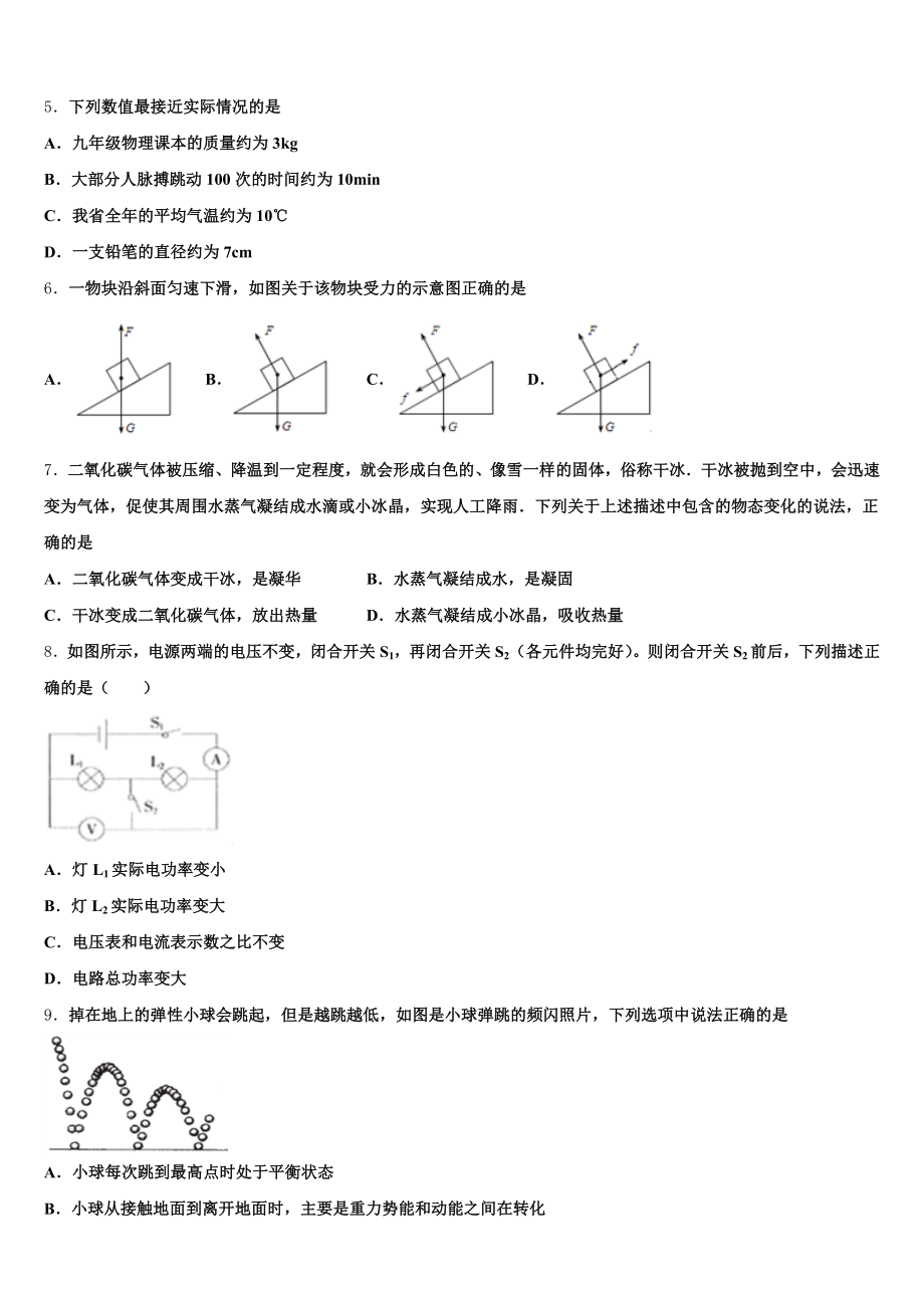 2024-2025学年湖北省孝感市孝南区等五校初三下学期8月暑期摸底物理试题含解析.doc_第2页