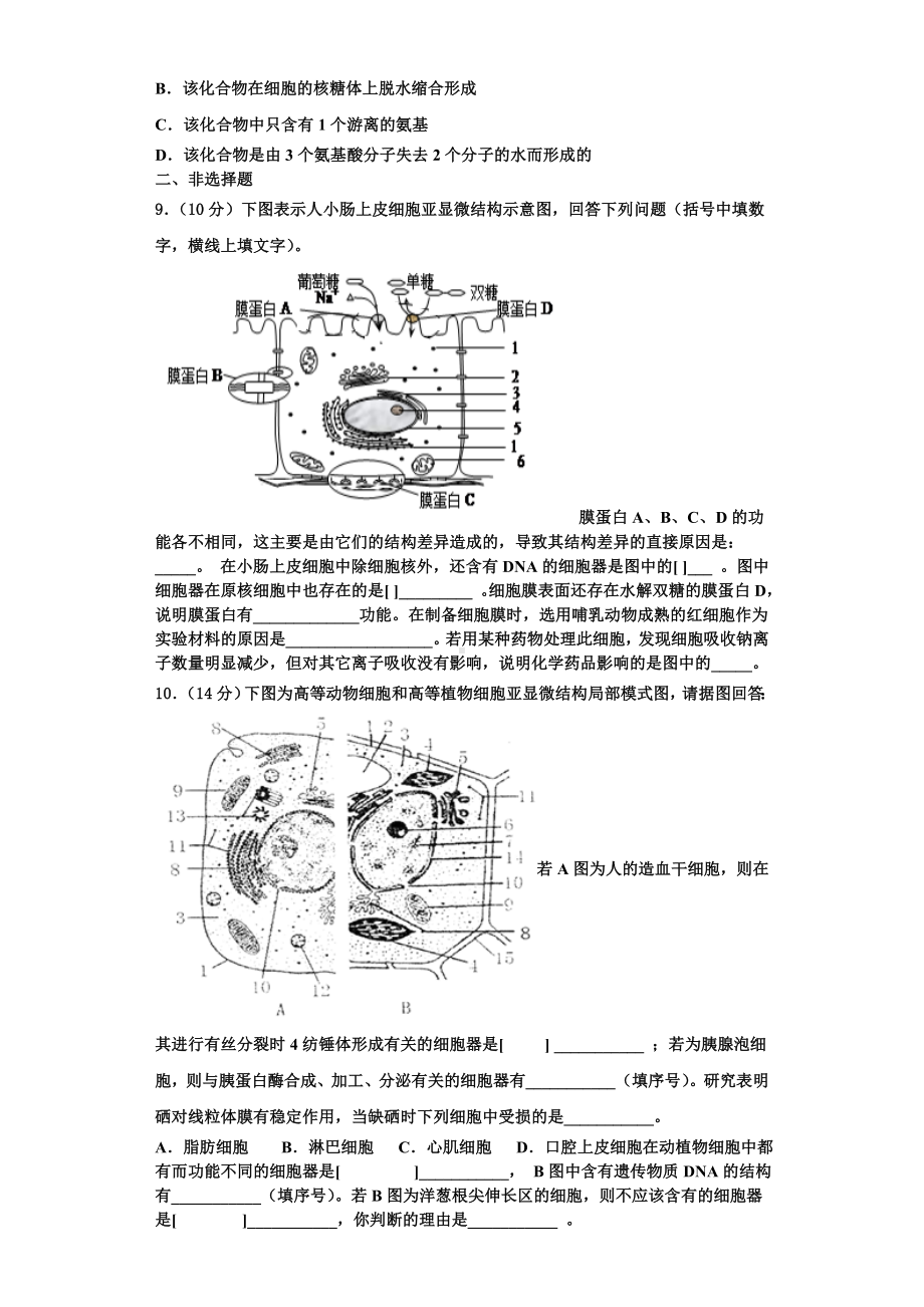 2023年平凉市重点中学生物高一上期末监测模拟试题含解析.doc_第3页