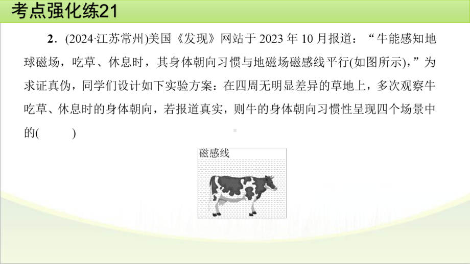 2025年甘肃省中考物理一轮复习 考点强化练21　电与磁.pptx_第3页