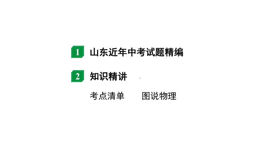 2024山东中考物理二轮重点专题研究 第一章声现象（课件）.pptx_第2页