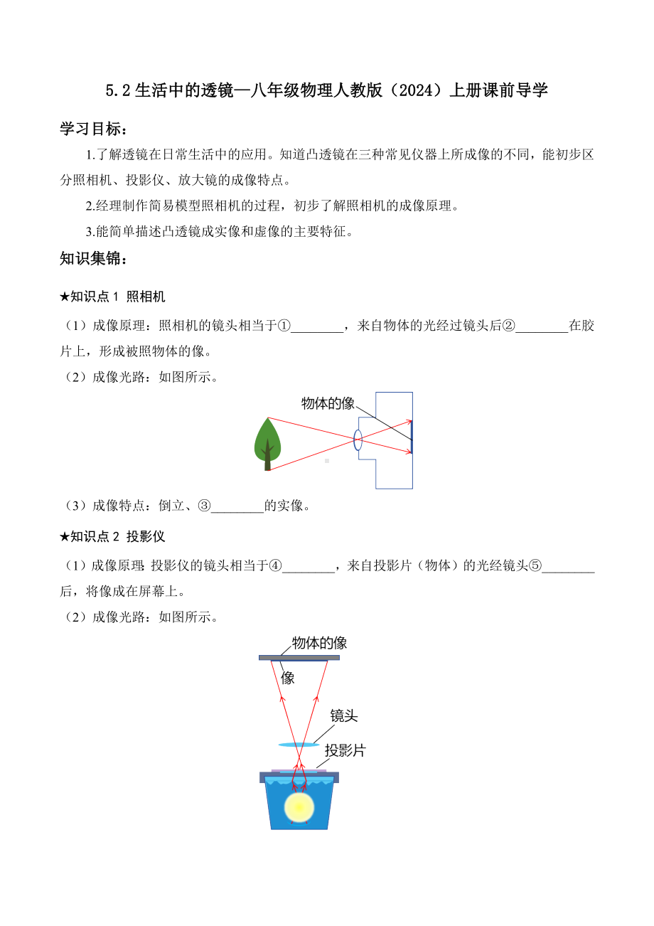 5.2生活中的透镜（含答案）-2024新人教版八年级上册《物理》.docx_第1页