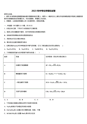 2023届湖南省邵阳市郊区重点中学中考一模化学试题含解析.doc