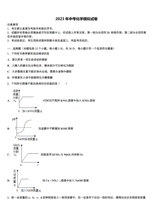 2023届鄂州市重点中学中考联考化学试卷含解析.doc