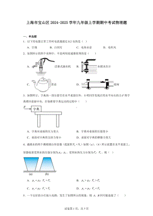 上海市宝山区2024-2025学年九年级上学期期中考试物理题.docx