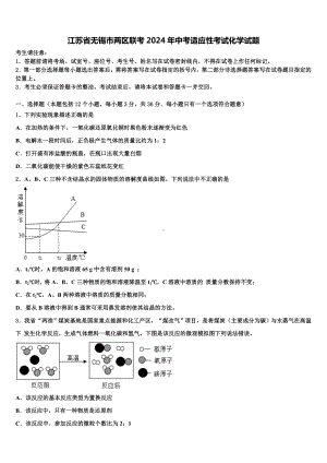 江苏省无锡市两区联考2024年中考适应性考试化学试题含解析.doc