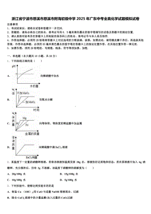 浙江省宁波市慈溪市慈溪市附海初级中学2025年广东中考全真化学试题模拟试卷含解析.doc