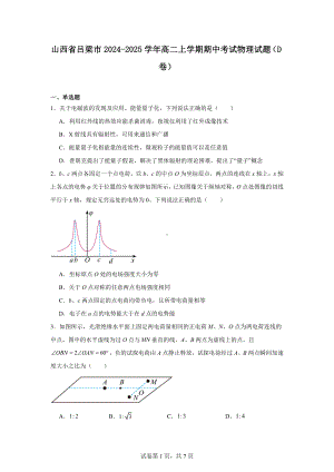 山西省吕梁市2024-2025学年高二上学期期中考试物理试题(D卷).docx