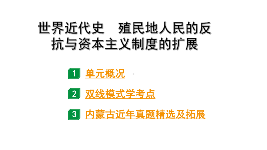 2024内蒙古中考历史二轮中考题型研究 世界近代史 殖民地人民的反抗与资本主义制度的扩展（课件）.pptx_第1页