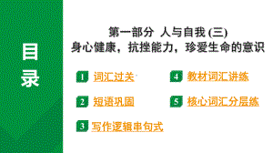 2024中考英语二轮复习第一部分人与自我(三)身心健康抗挫能力珍爱生命的意识(课件).pptx