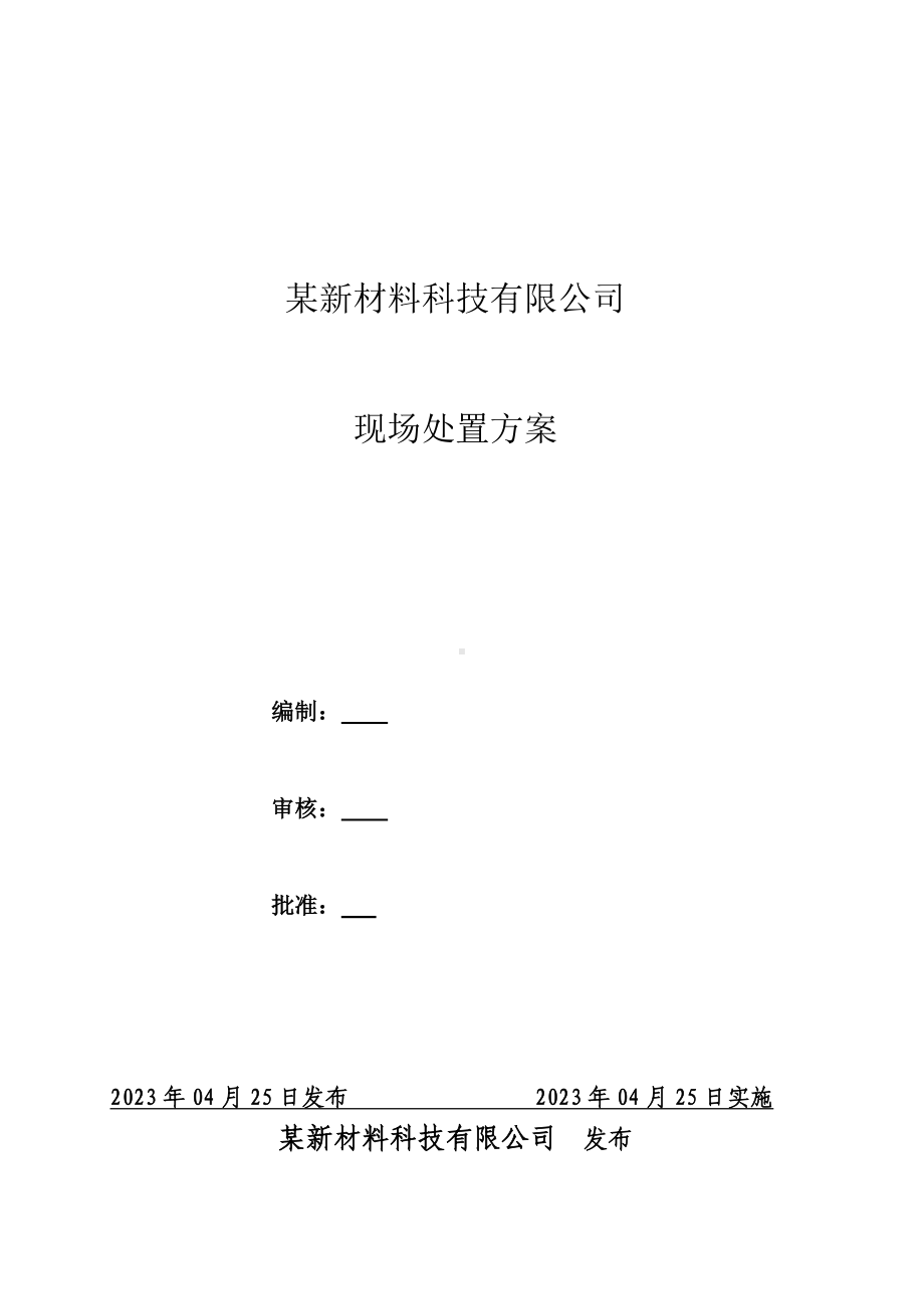 新材料有限公司现场处置方案.docx_第1页