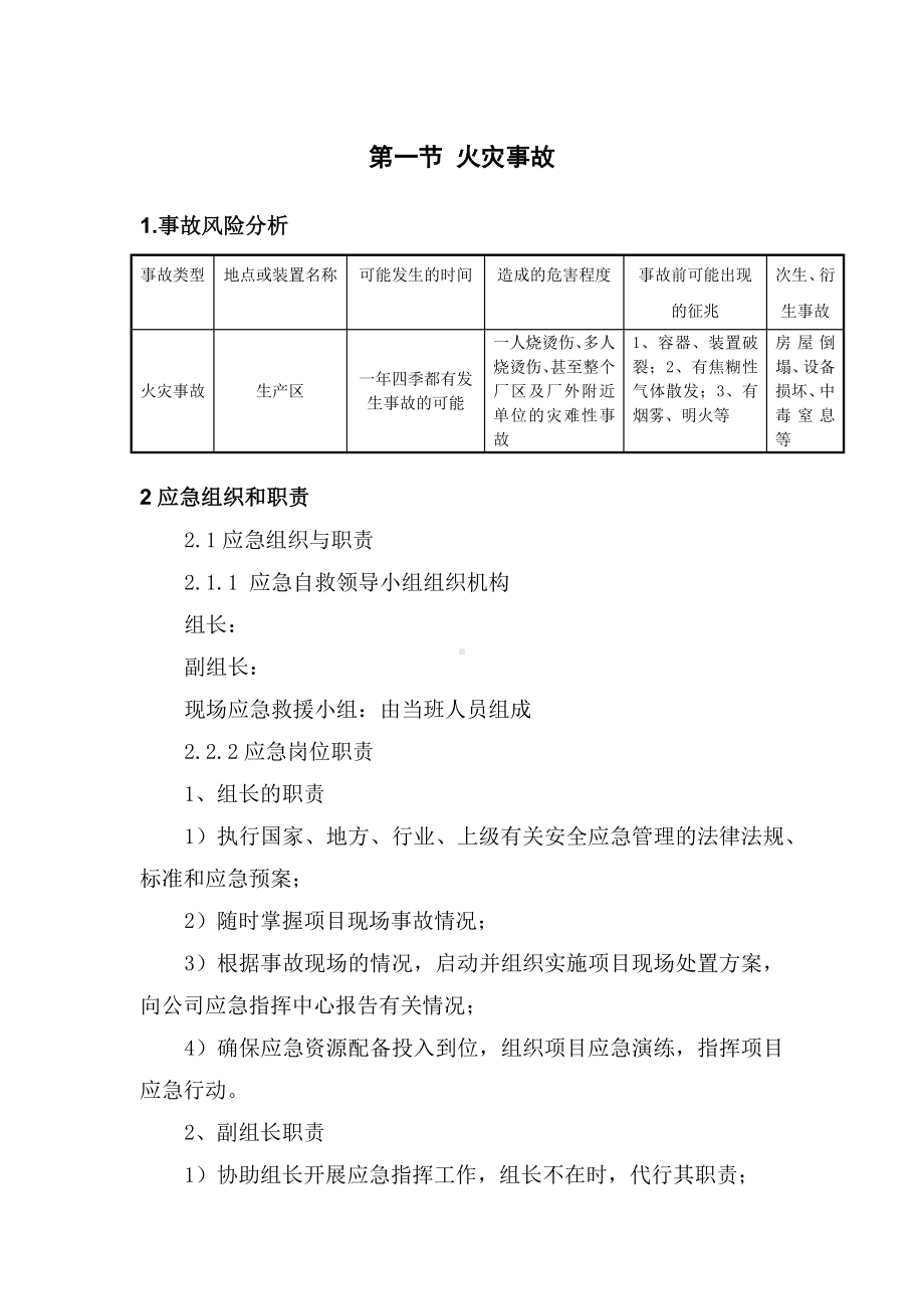 新材料有限公司现场处置方案.docx_第2页