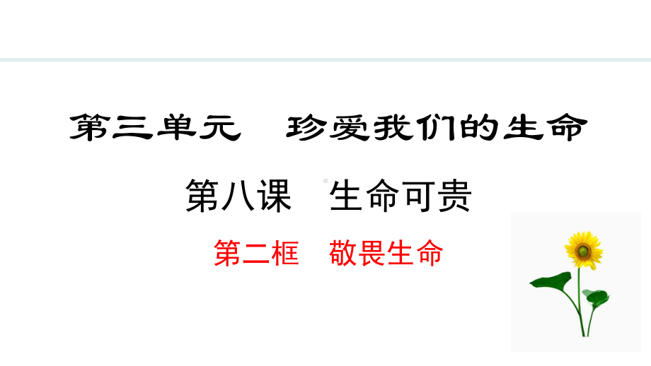 8.2 敬畏生命 ppt课件-（2024）统编版七年级上册《道德与法治》.pptx_第2页